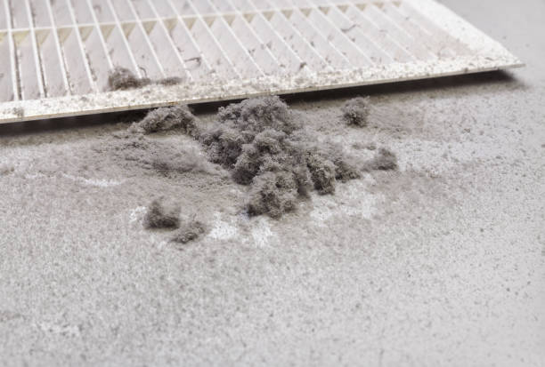 Best Home Air Vent Cleaning  in Smethport, PA