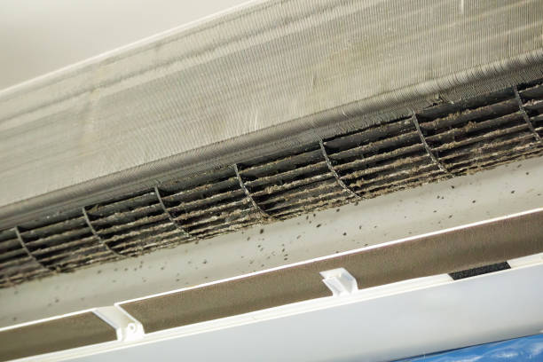 Best Duct Cleaning for Homes  in Smethport, PA